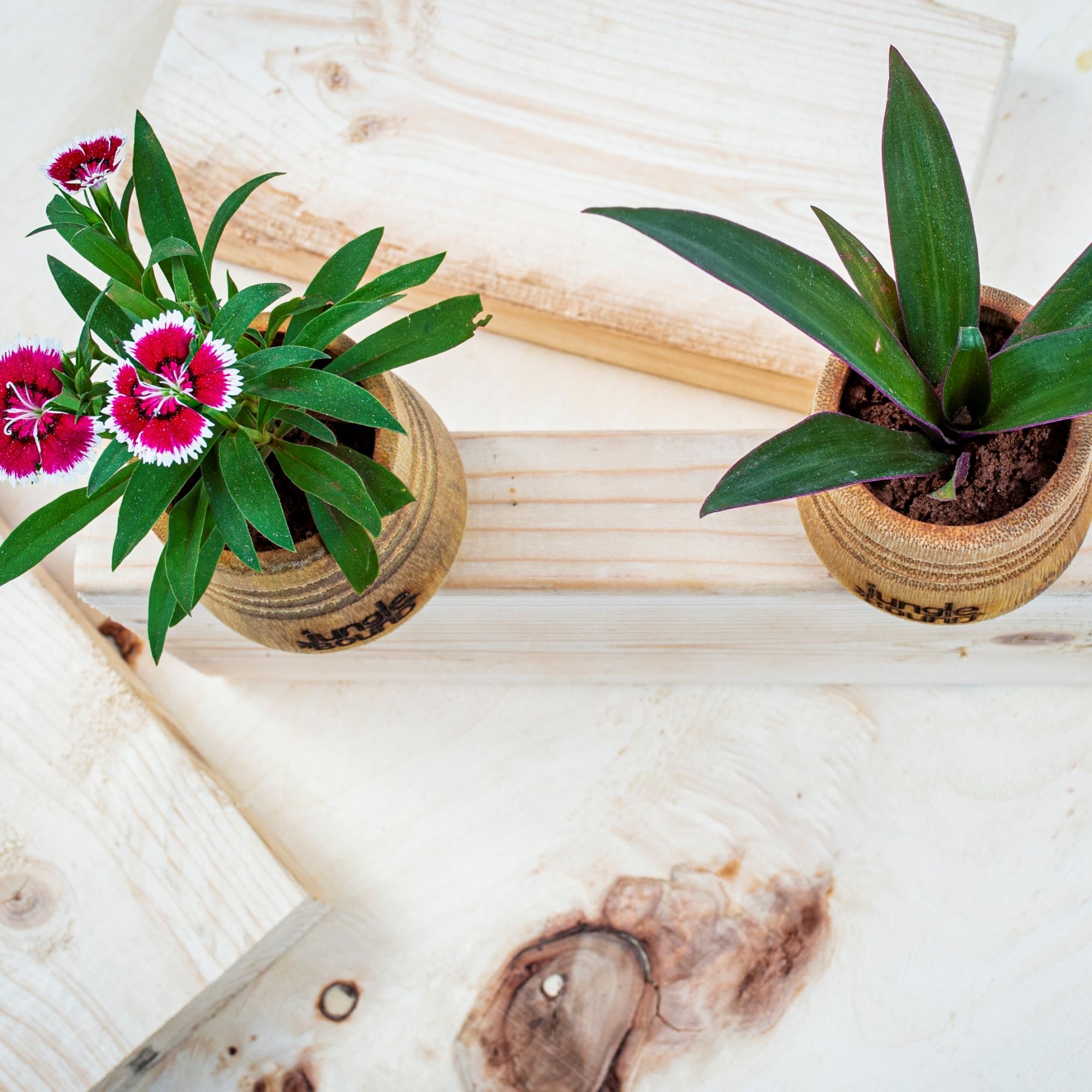 Bamboo Planter and Flower Pot