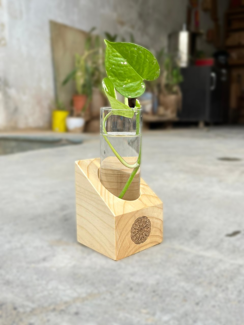 Wooden Test Tube Planter