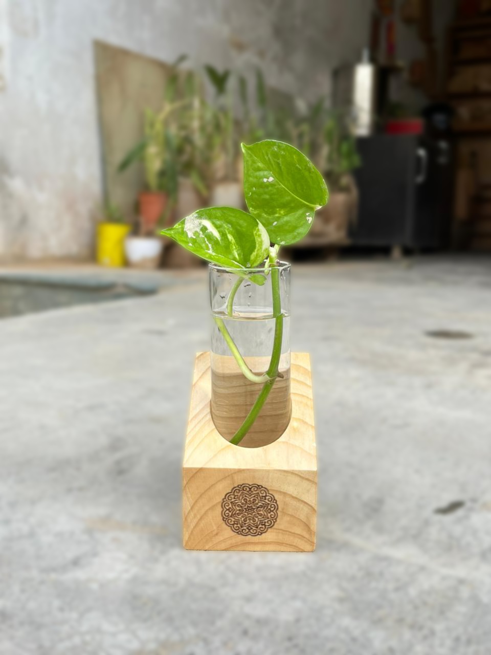Wooden Test Tube Planter