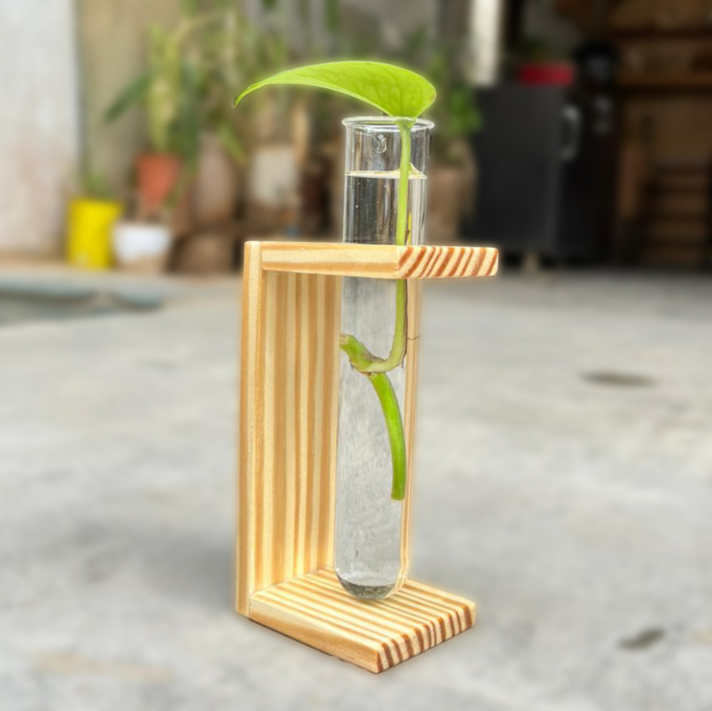 Image of Wooden Test Tube Planter