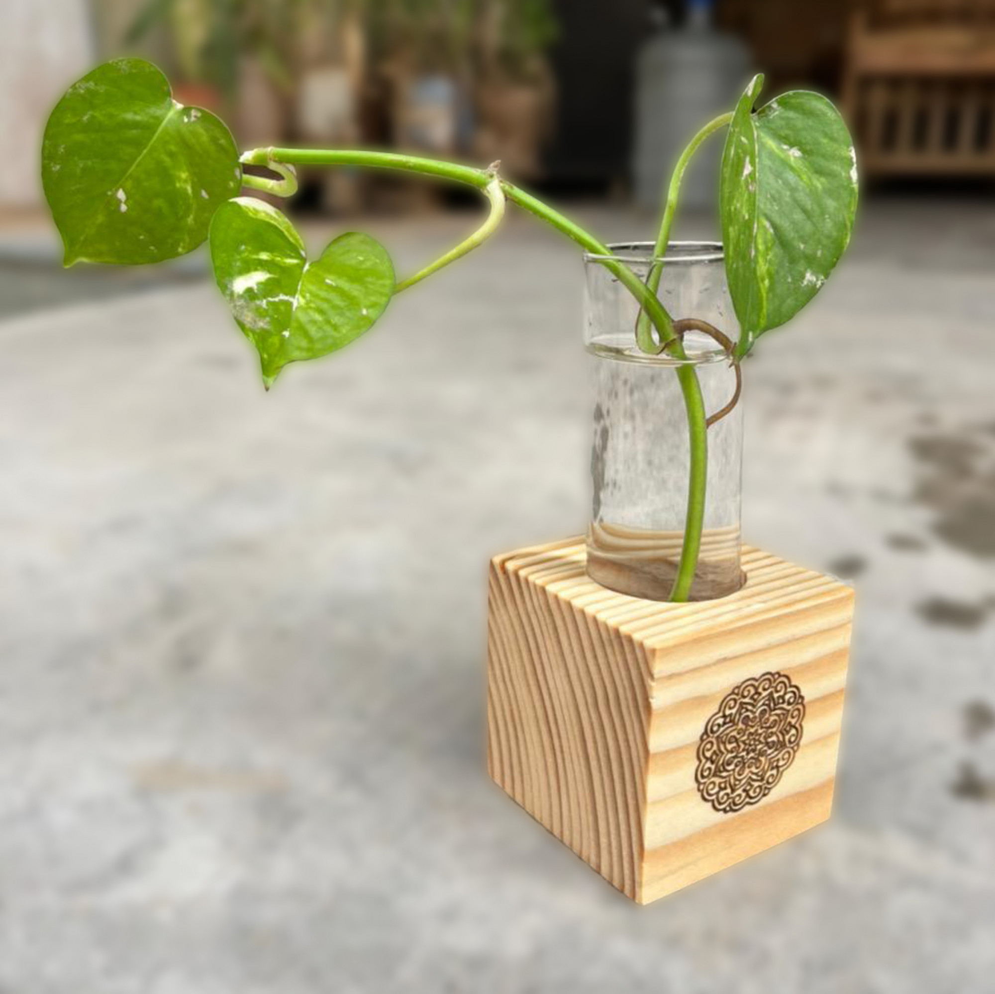 Wooden Test Tube Planter