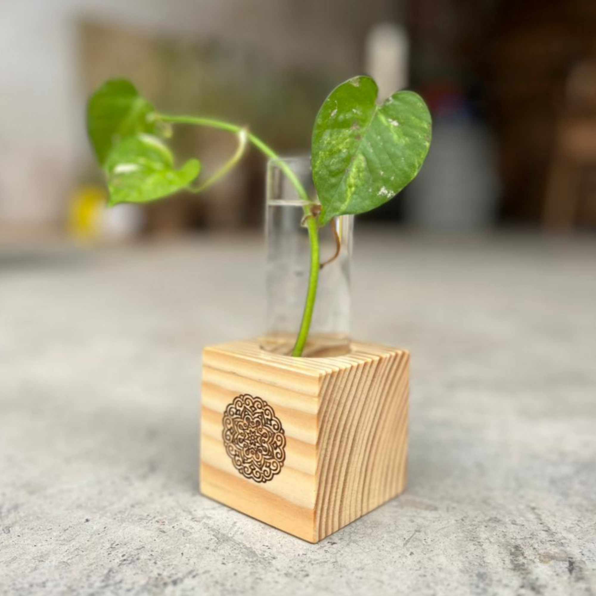 Wooden Test Tube Planter
