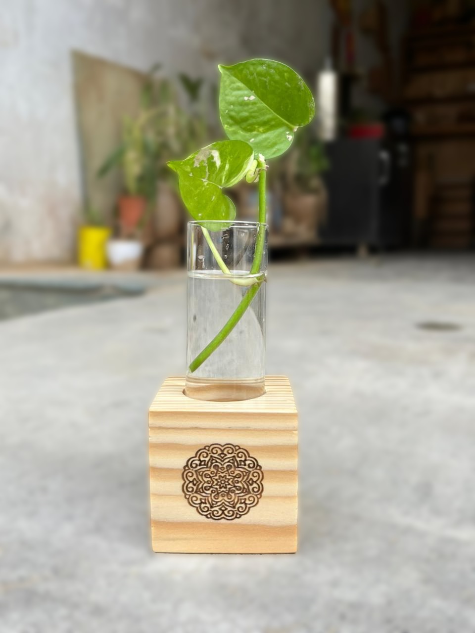 Wooden Test Tube Planter
