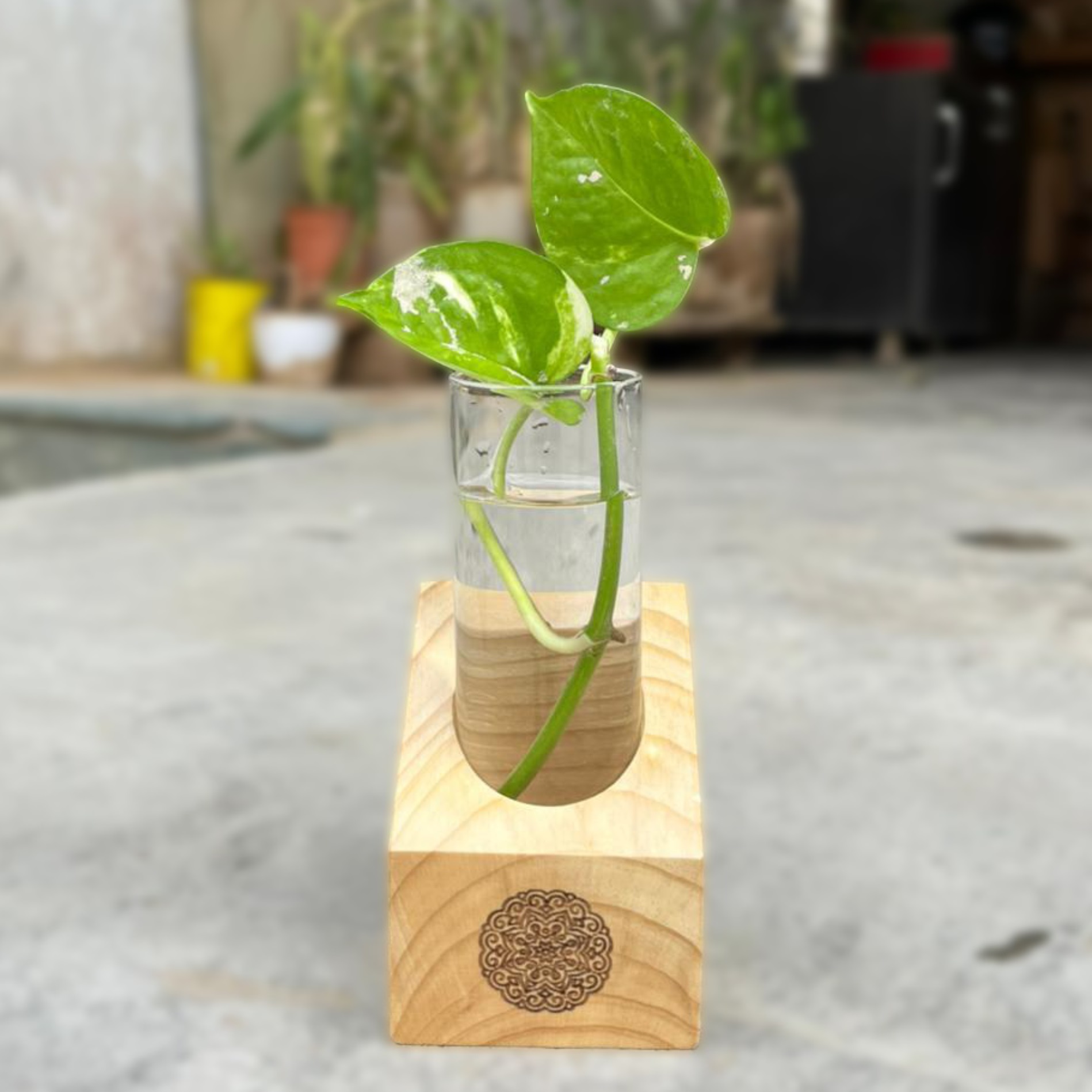 Wooden Test Tube Planter