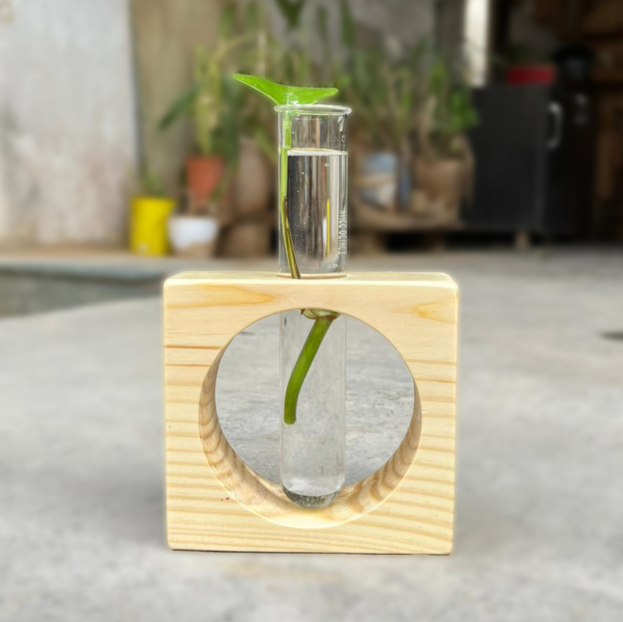 Wooden Test Tube Planter