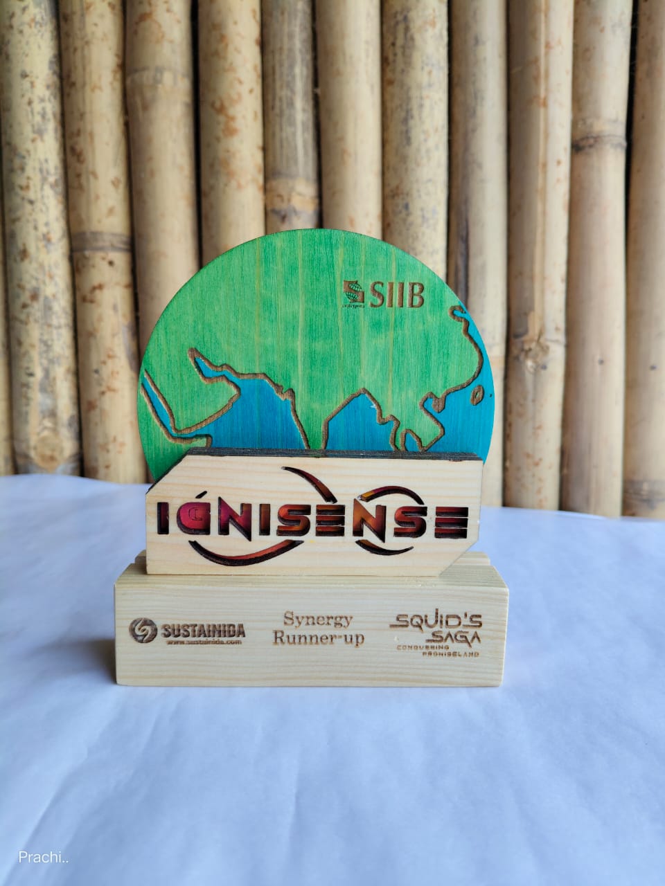Wooden Globe Trophy