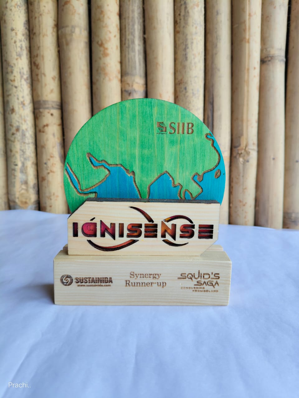 Wooden Globe Trophy