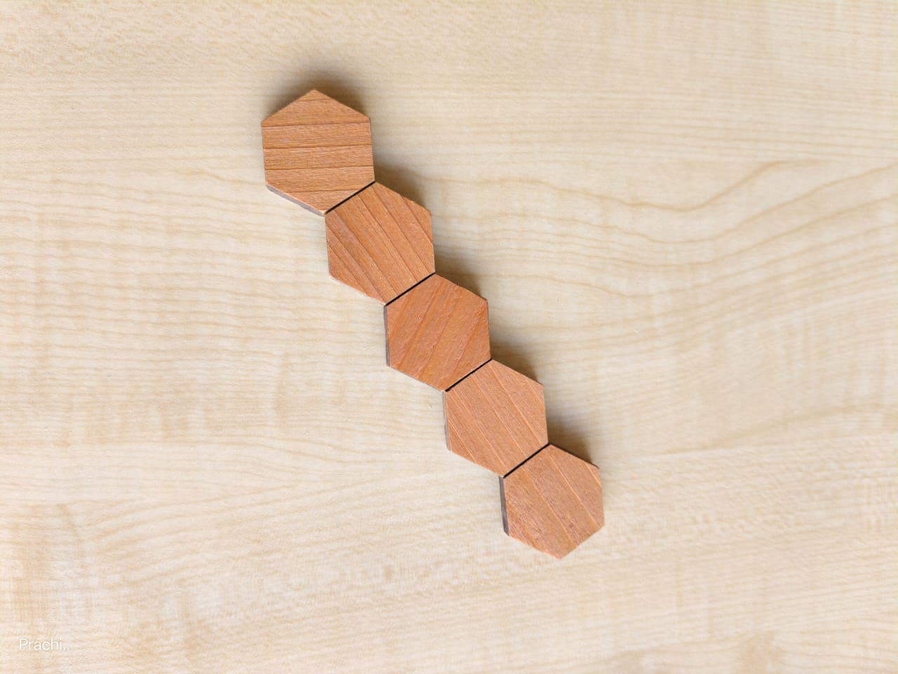 Wooden Educational Toy