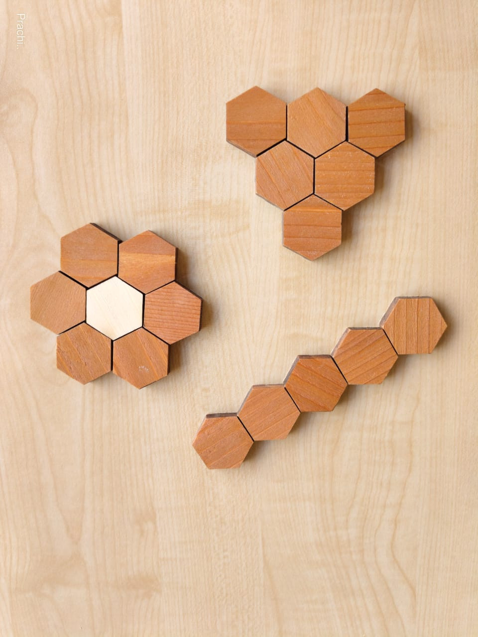 Wooden Educational Toy