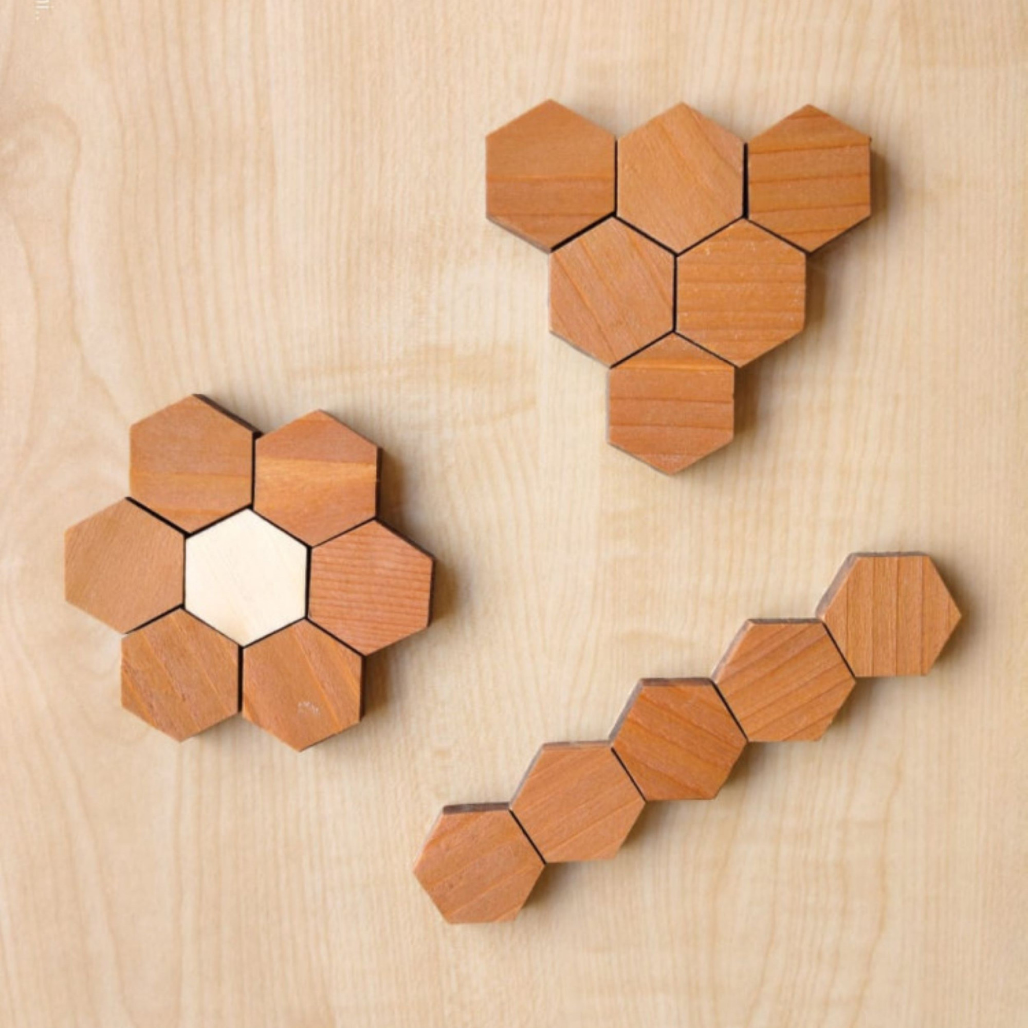 Wooden Educational Toy