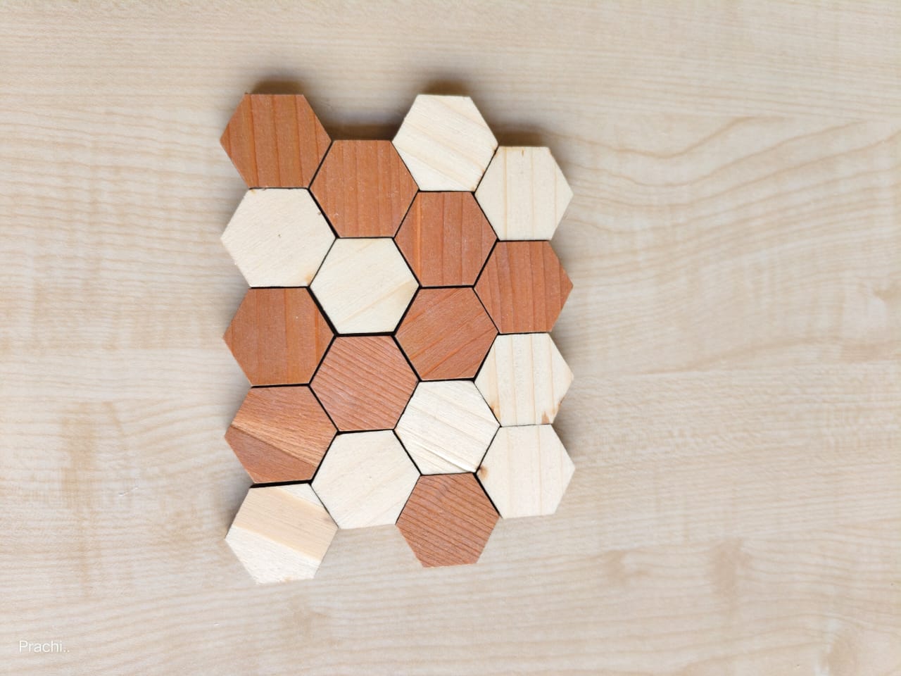 Wooden Educational Toy