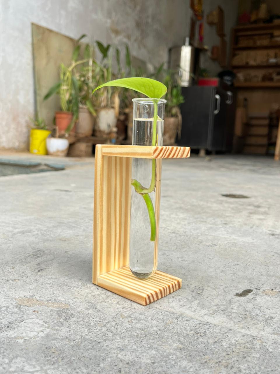Wooden Test Tube Planter