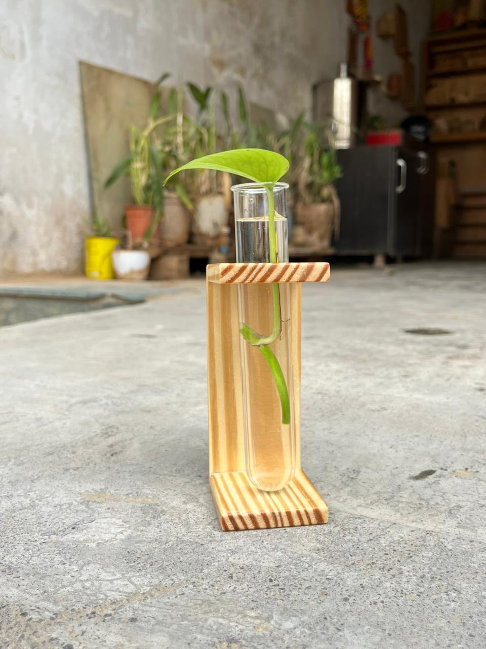 Wooden Test Tube Planter