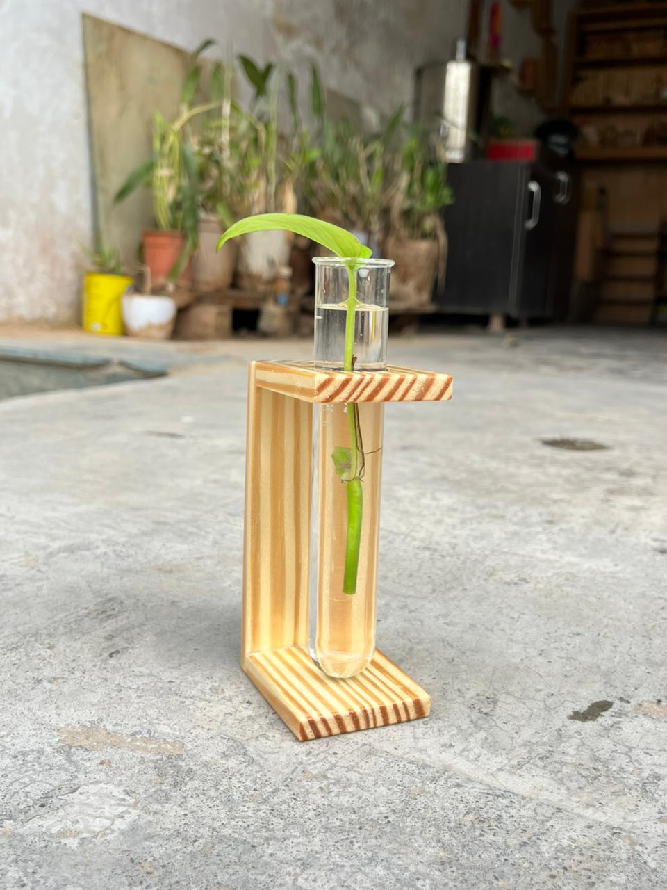 Wooden Test Tube Planter