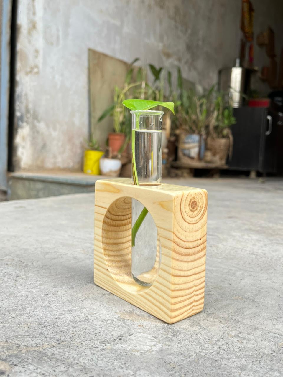 Wooden Test Tube Planter