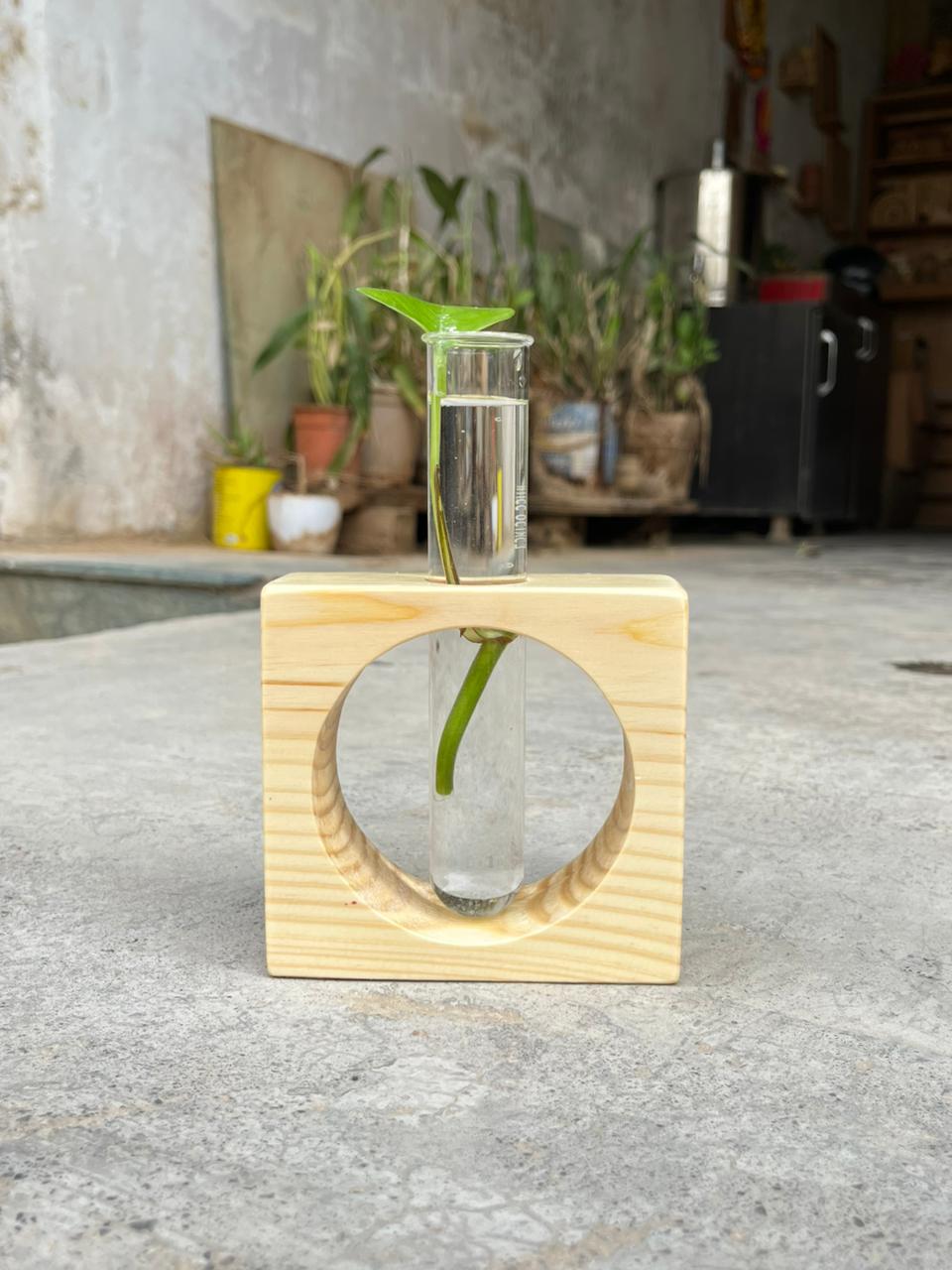 Wooden Test Tube Planter
