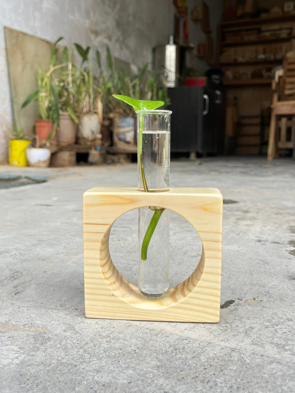Wooden Test Tube Planter