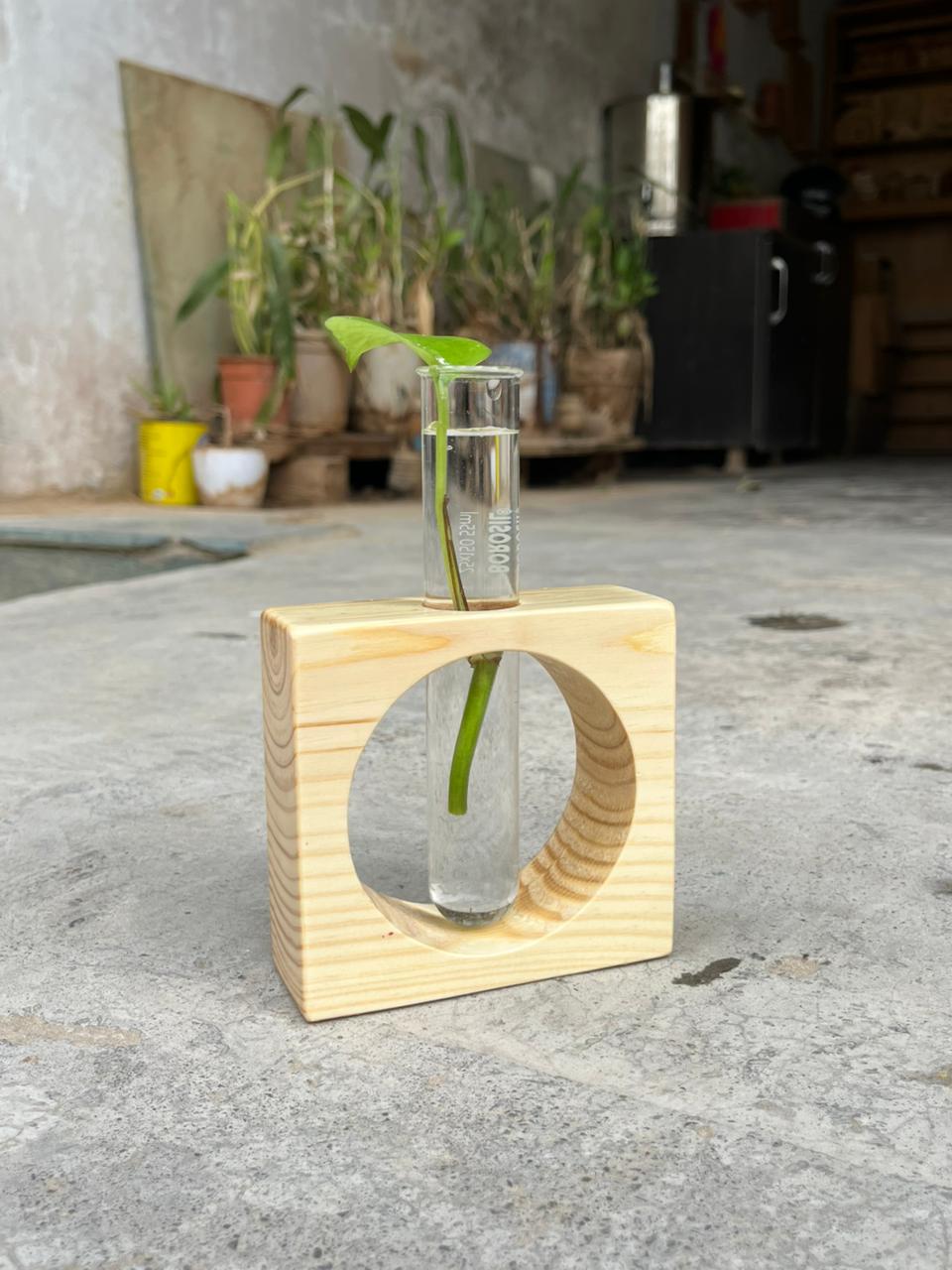 Wooden Test Tube Planter