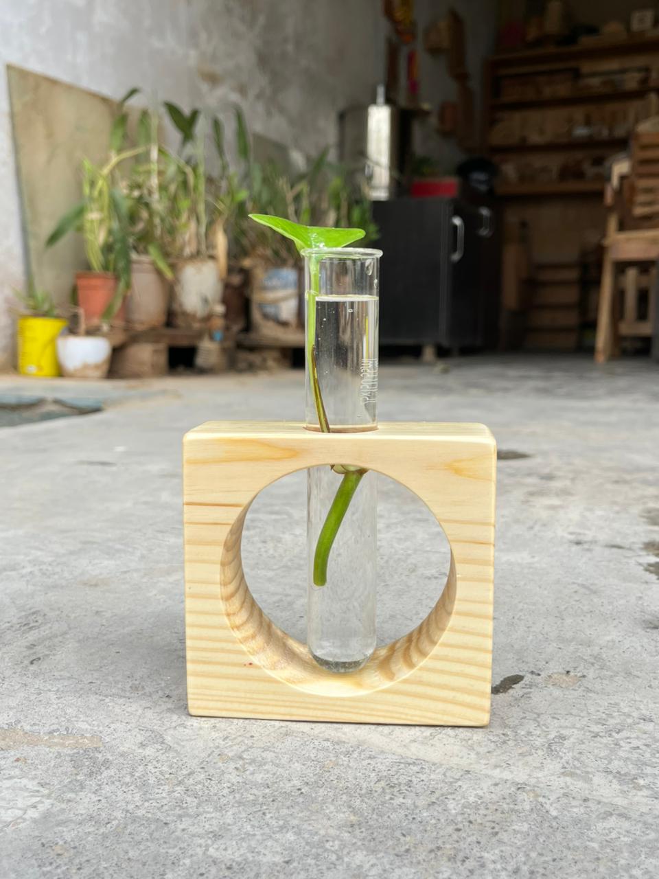 Wooden Test Tube Planter