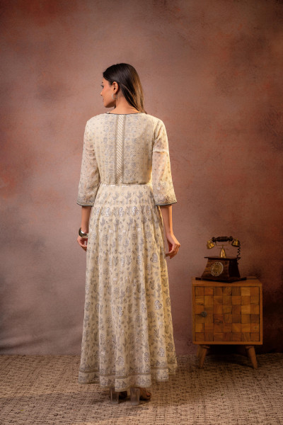 Beige Sheen  Anarkali dress