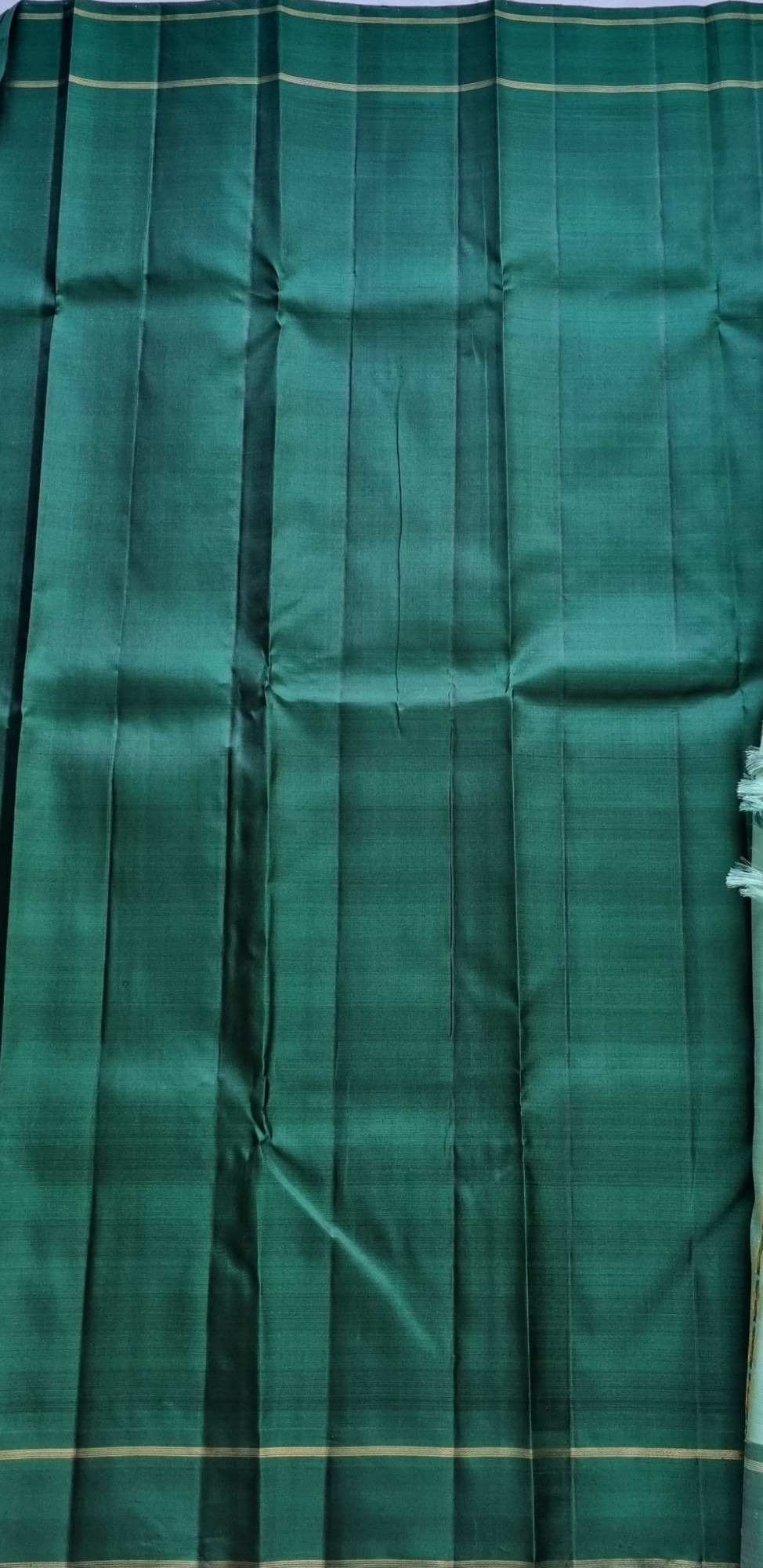Kanjivaram Silk pastel mint green Meenakari