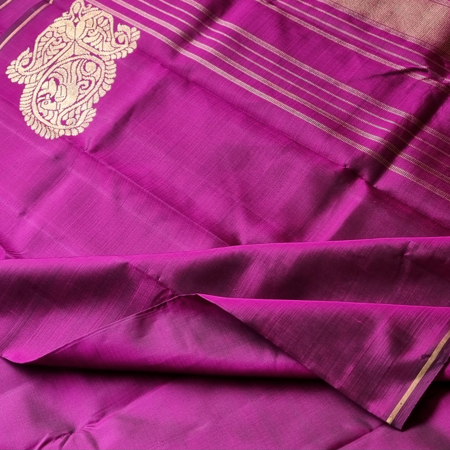 Kanjivaram Silk Shot plum with konia paisley