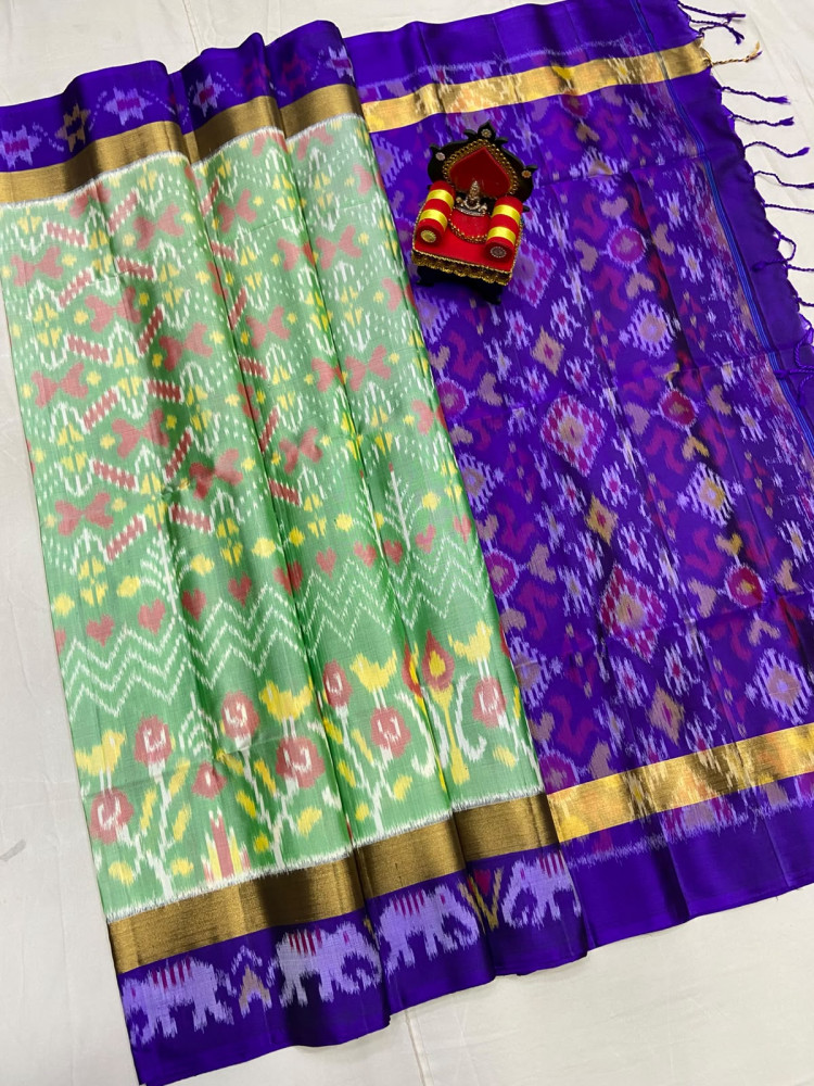 Image of Pochampally Double Warp Saree