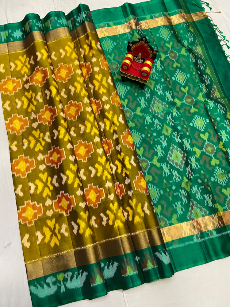 Image of Pochampally Double Warp Saree