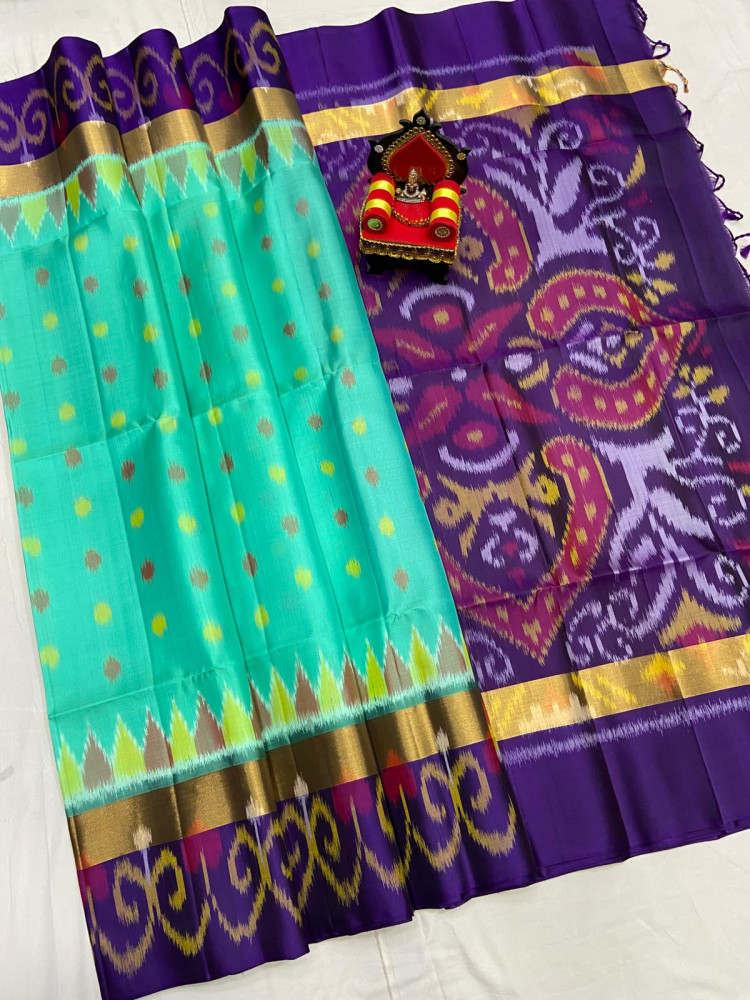 Image of Pochampally Double Warp Saree