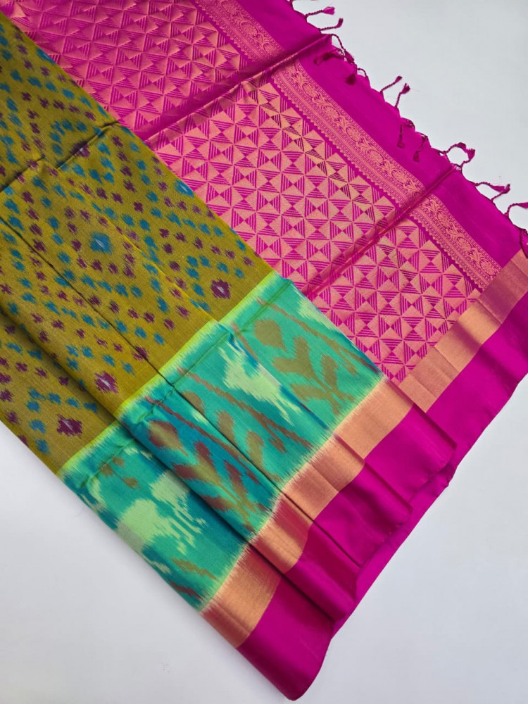 Image of Handloom Pure Pochampally Silk Saree