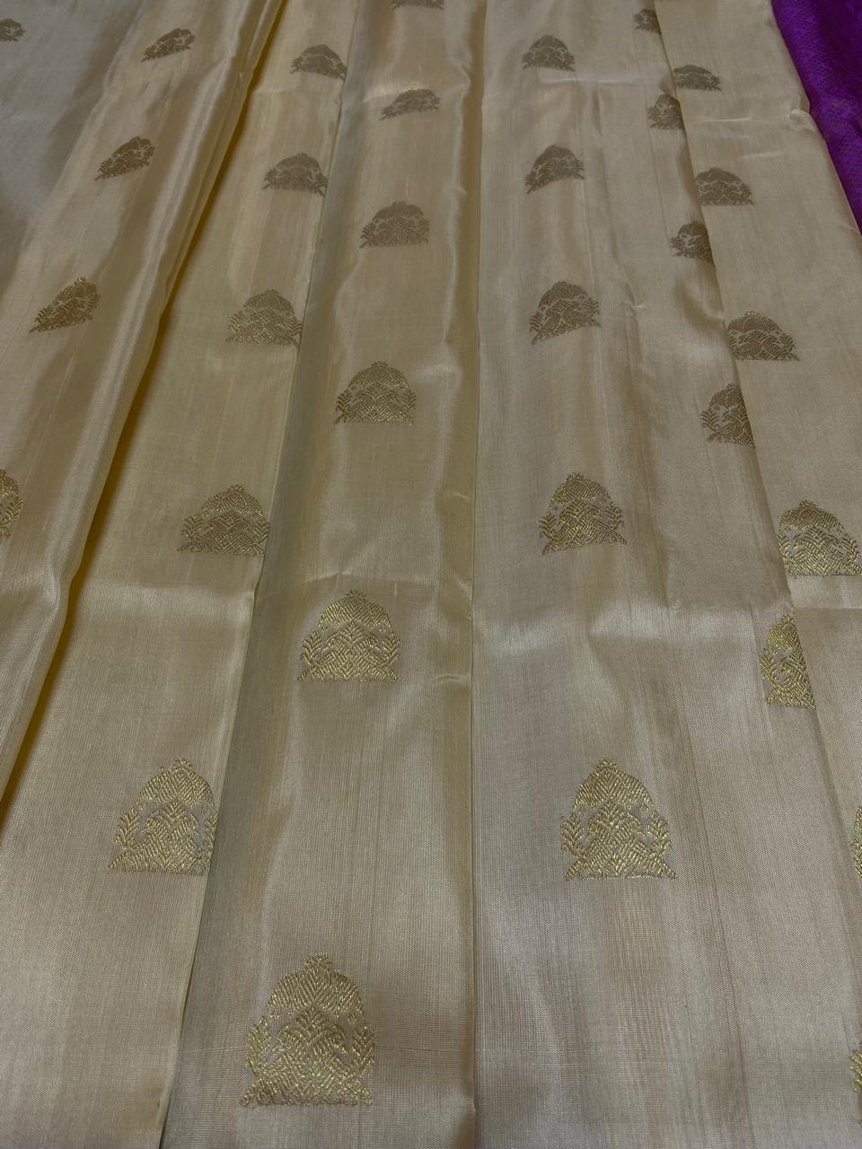 Venkatagiri Pure Handloom Pattu Saree