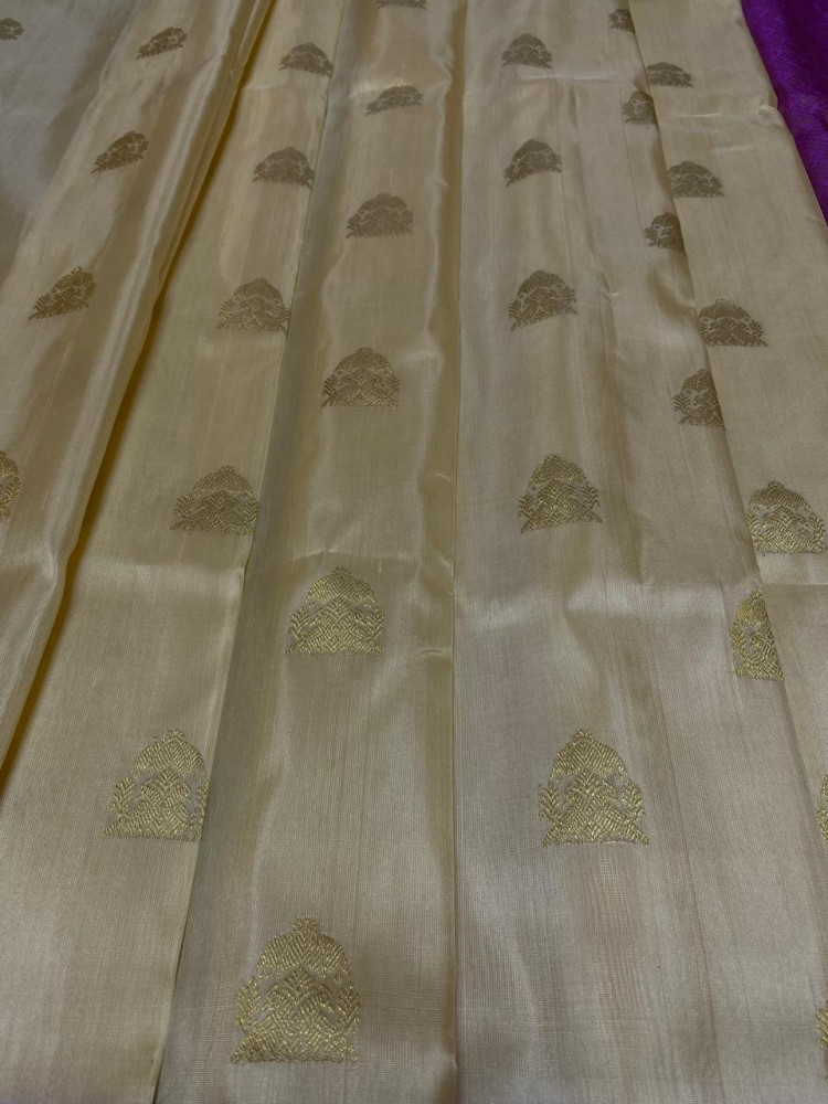 Image of Venkatagiri Pure Handloom Pattu Saree