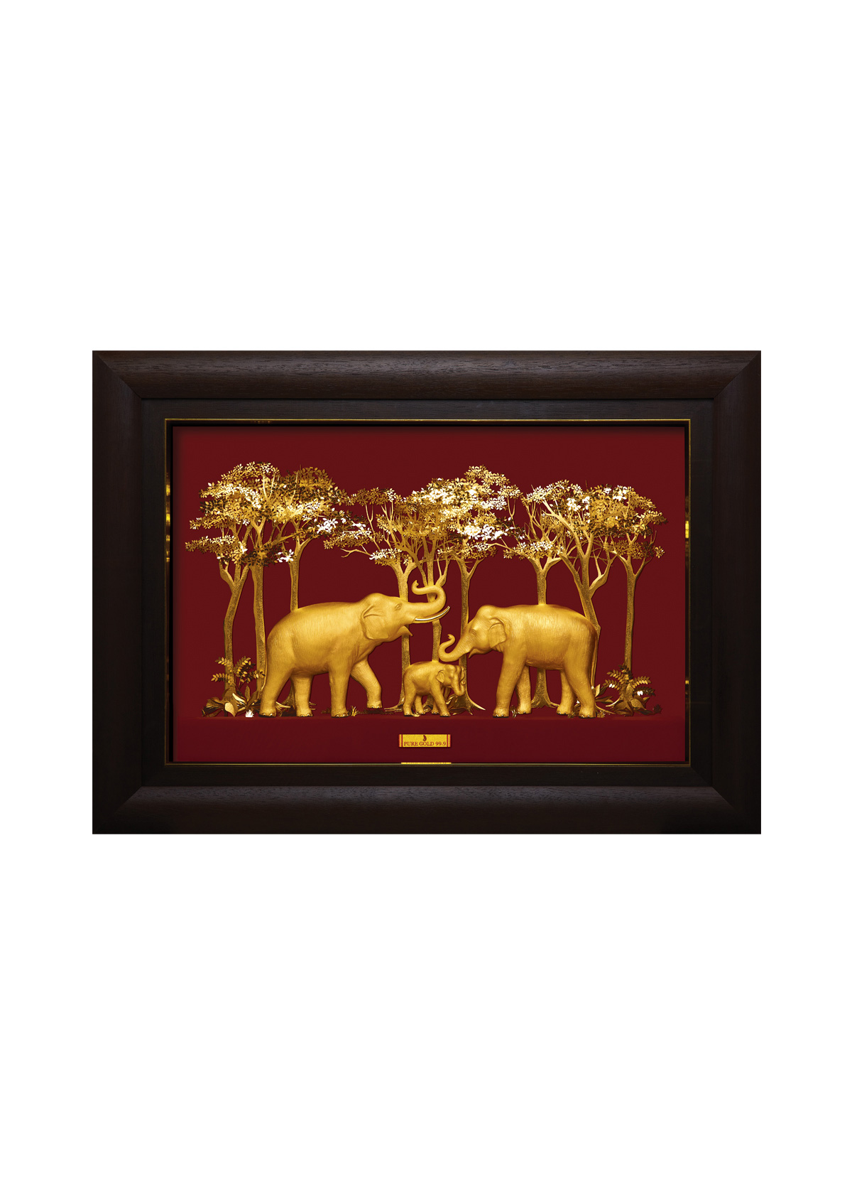 Elephant Family