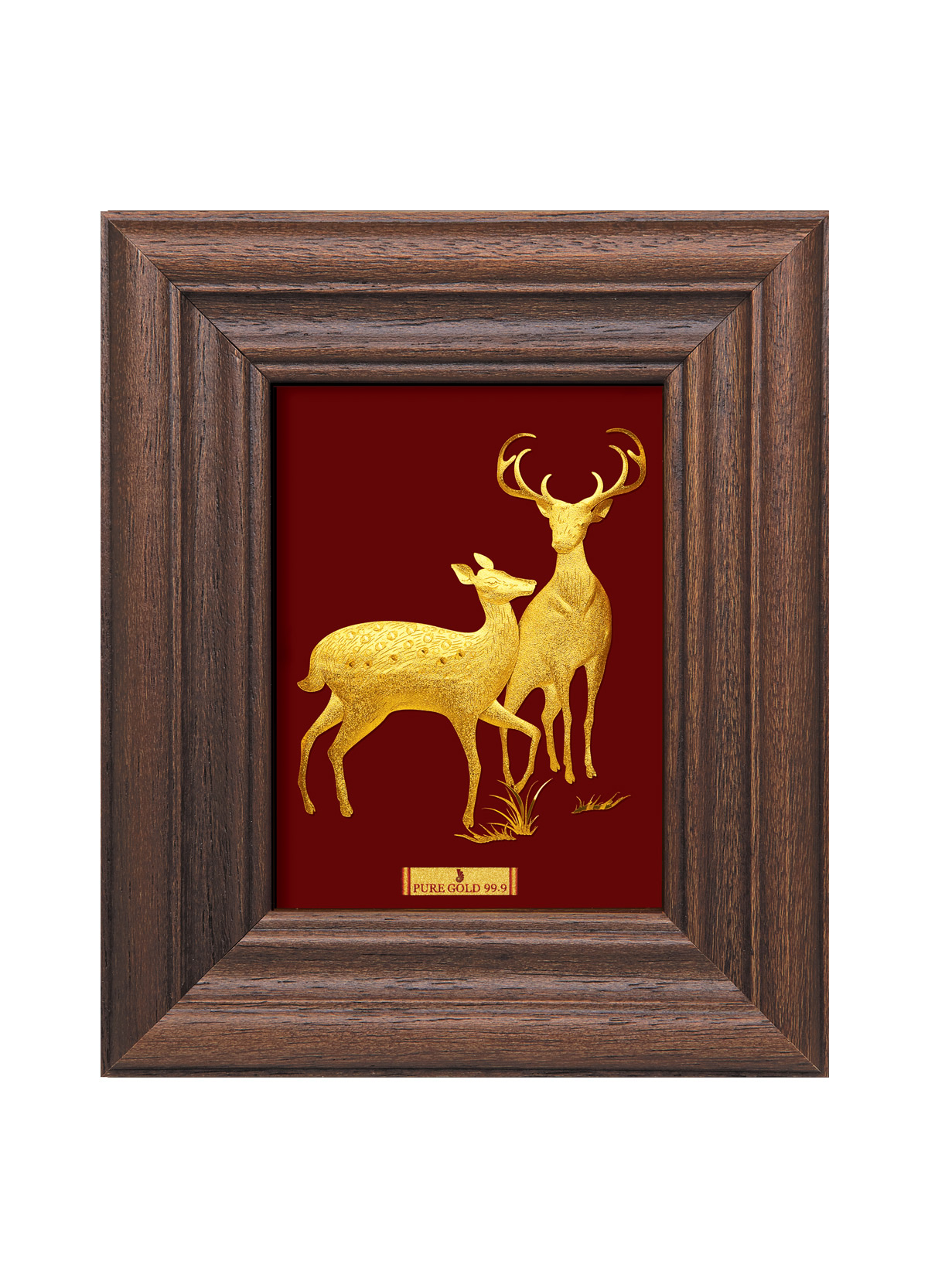 Deer