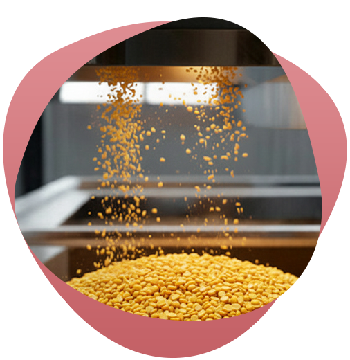 Sortex Cleaning: The Silent Hero Behind Every Premium Grains