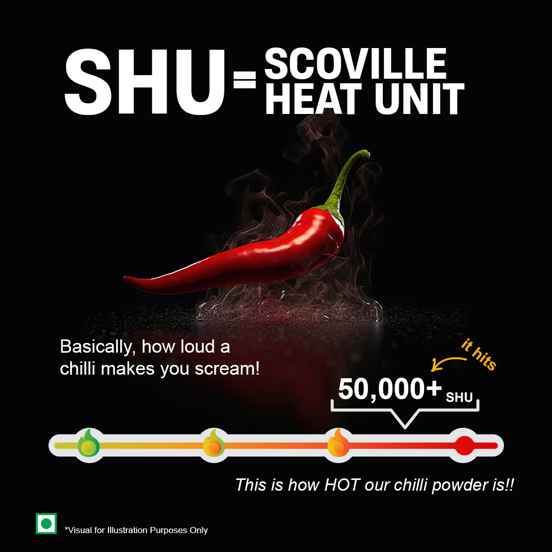 Red Chilli Powder (250 g)