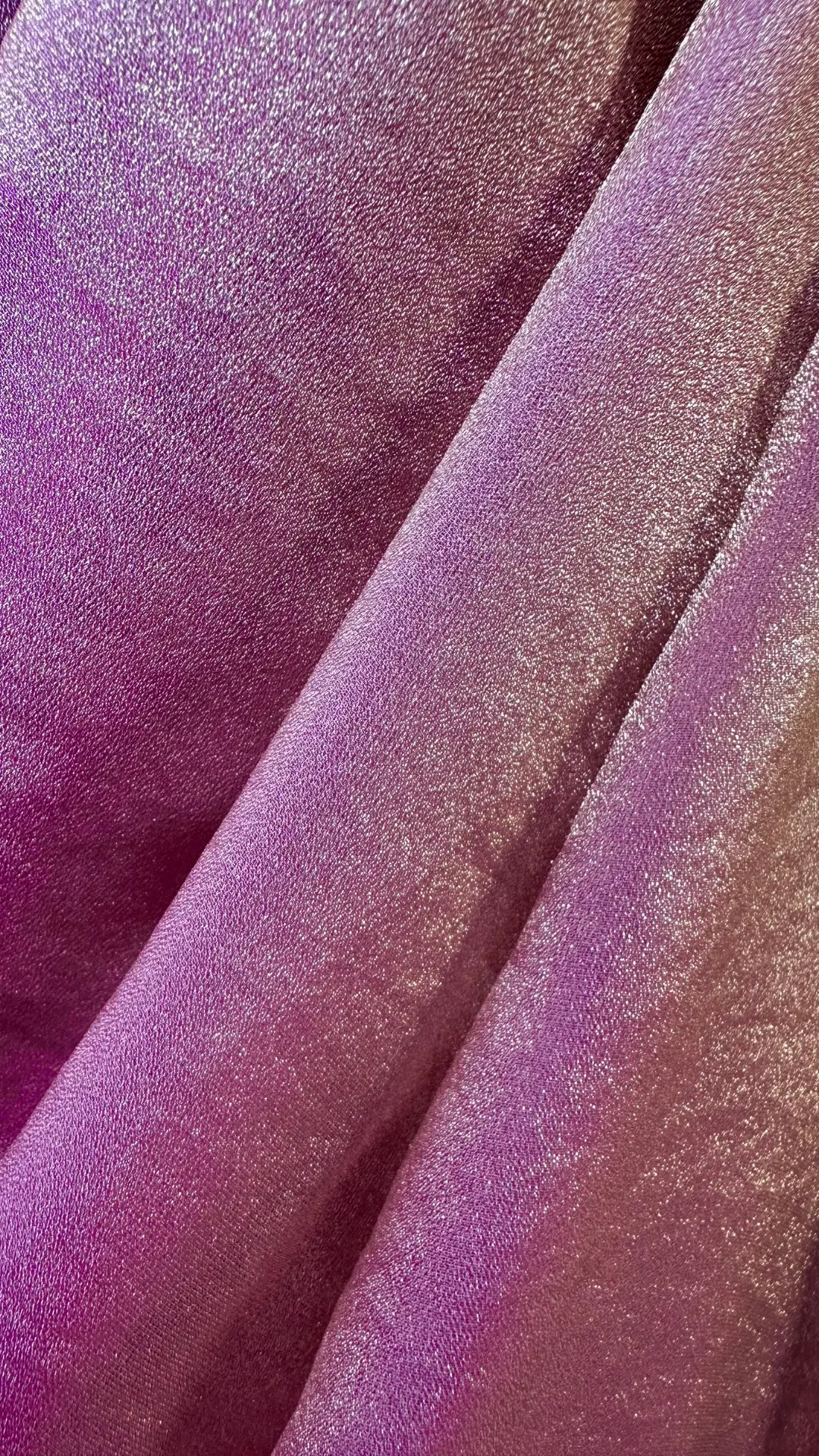 Glass Tissue Saree with Delicate Scallop Border - Multi-Variant