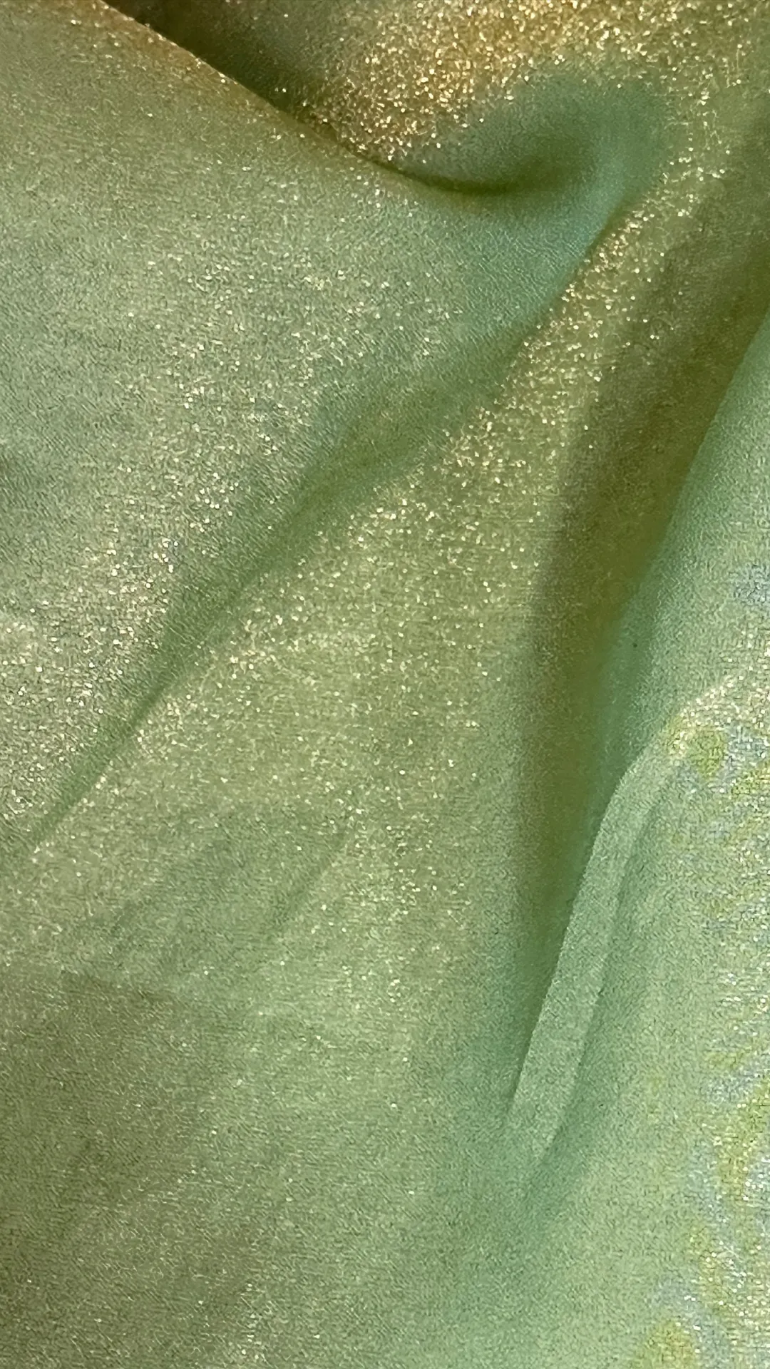 Glass Tissue Saree with Delicate Scallop Border - Multi-Variant