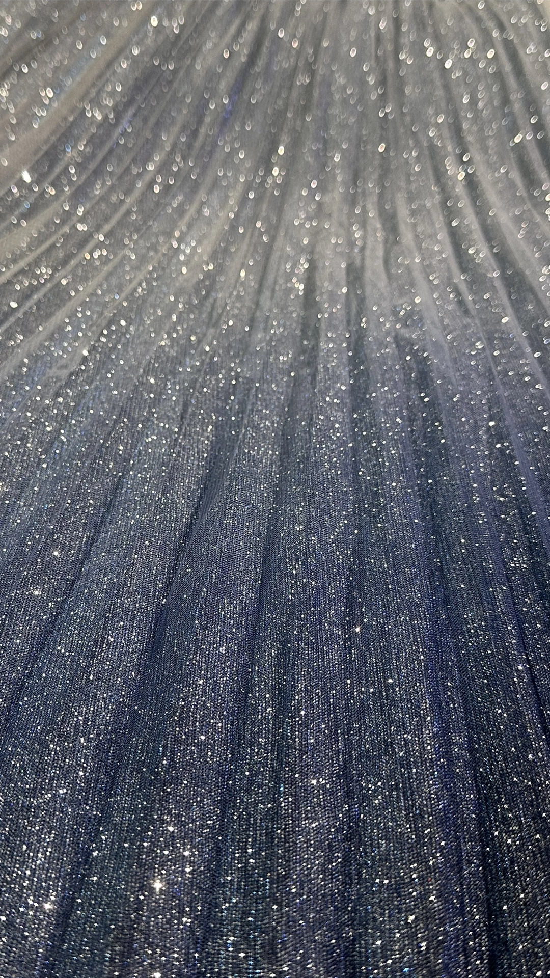 Holographic Pleated Skirt with Tulle Overlay - Party  Statement Wear