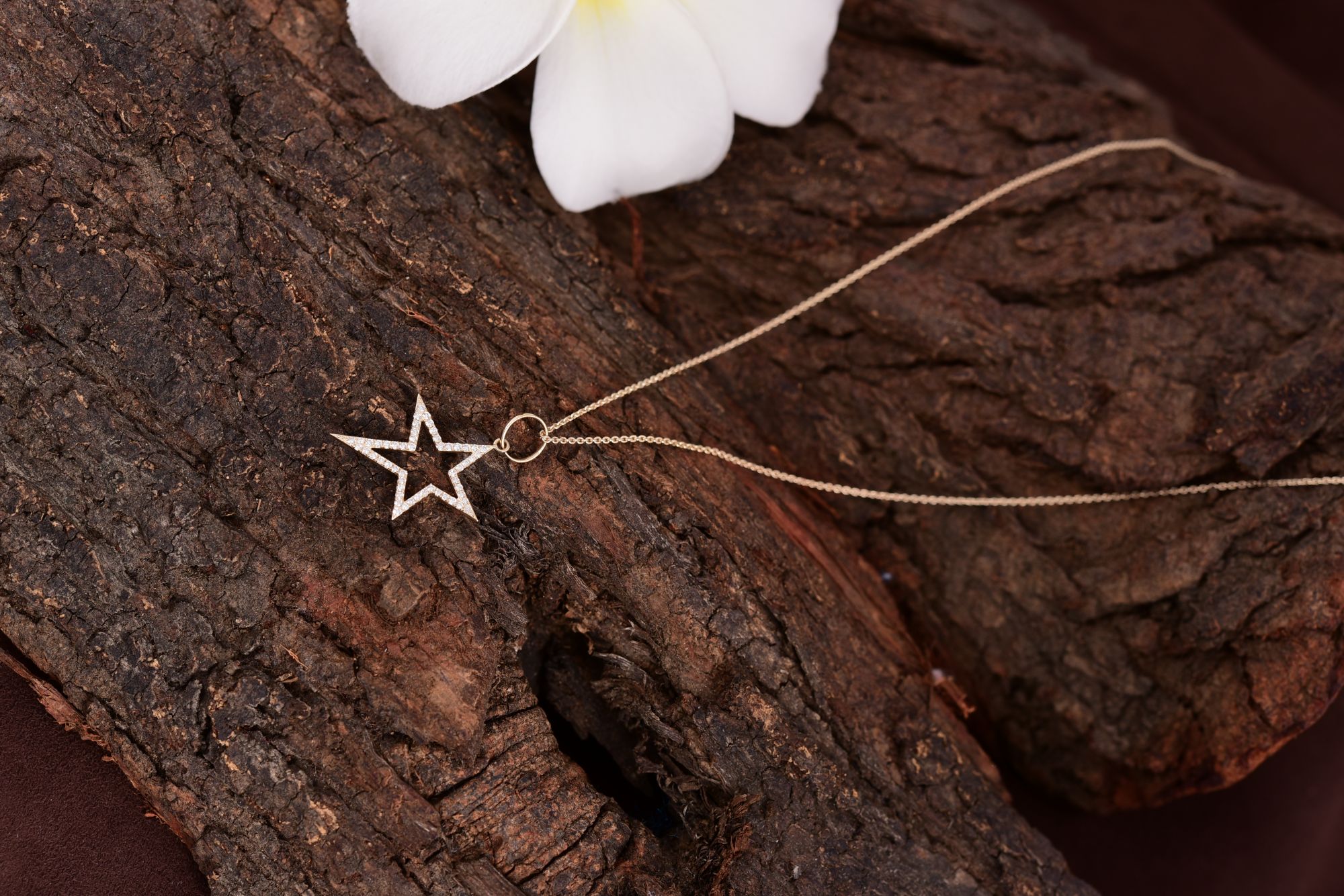 Yellow Gold Diamond Star Pendant With Chain