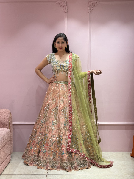 Lehenga with mor blouse