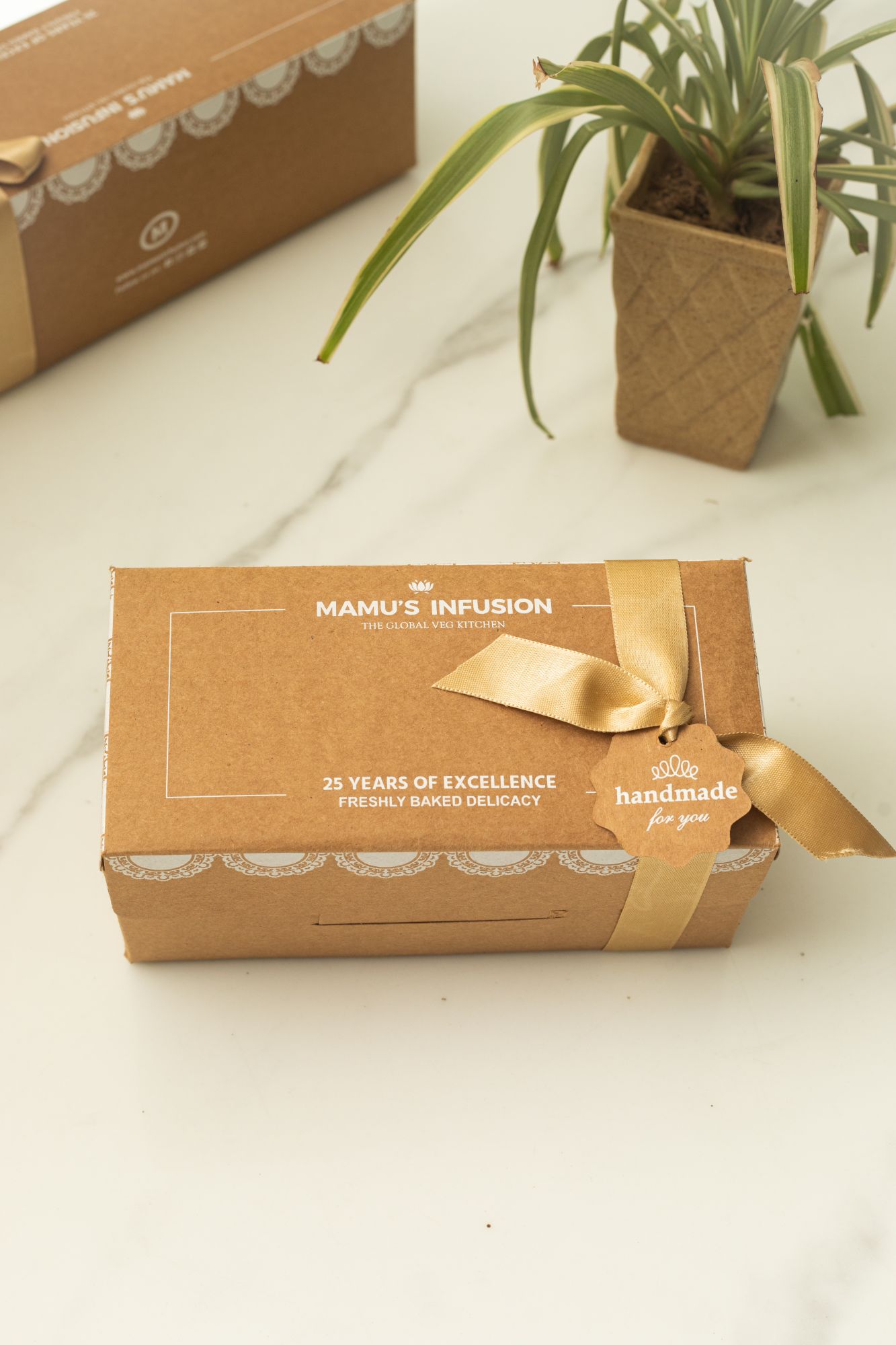 Gourmet Fox Nuts Hamper Pack of 2 120 gm