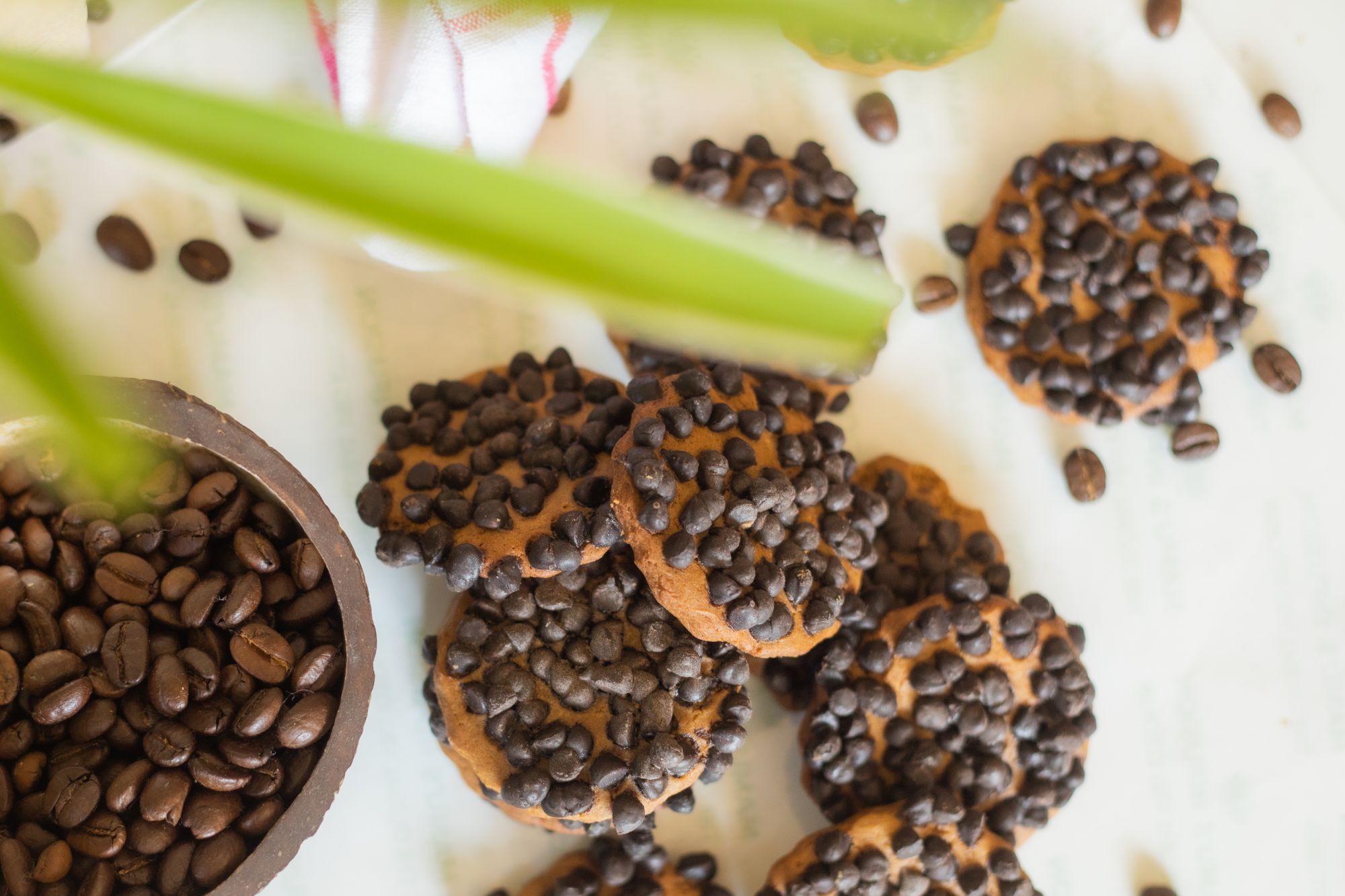 Mamus Infusion Espresso Choco Chip Cookies 250g Healthy Tasty Baked Preservatives Free Artificial Color Free MSG Free Trans Fat Free