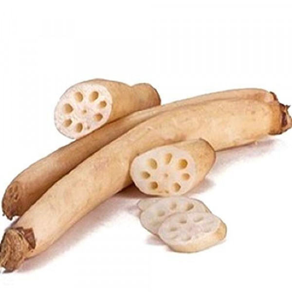 Image of LOTUS STEM (KAMAL KAKDI)