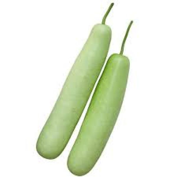 Image of Bottle Gourd