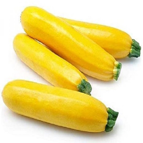 Image of ZUCCHINI YELLOW