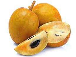 Chikoo (चीकू)