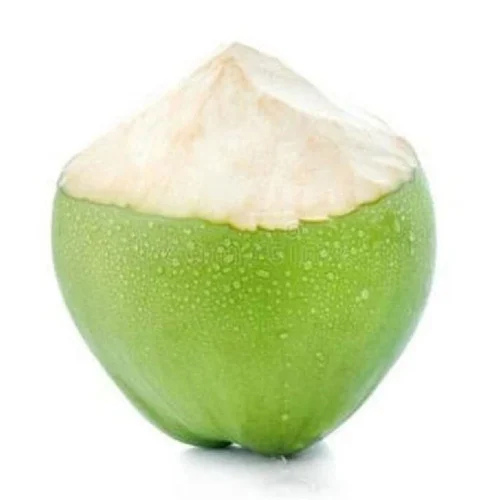Coconut