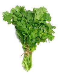 Coriander