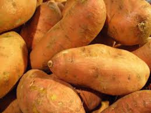 Image of Sweet Potato (शकरकंद)